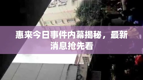 惠來今日事件內幕揭秘，最新消息搶先看
