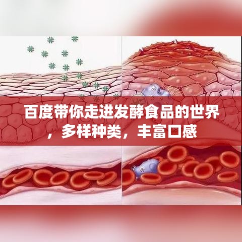 百度帶你走進發酵食品的世界，多樣種類，豐富口感