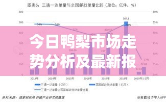 今日鴨梨市場走勢分析及最新報價速遞