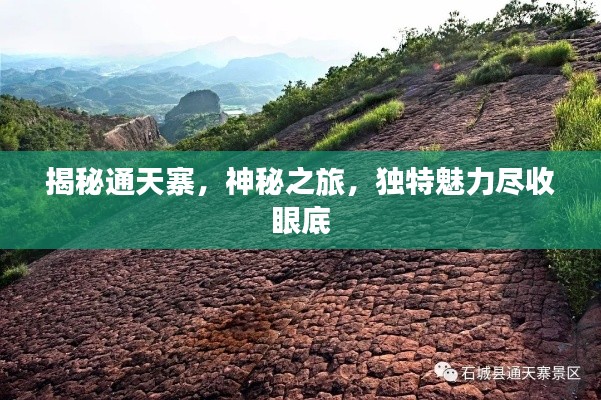 揭秘通天寨，神秘之旅，獨特魅力盡收眼底