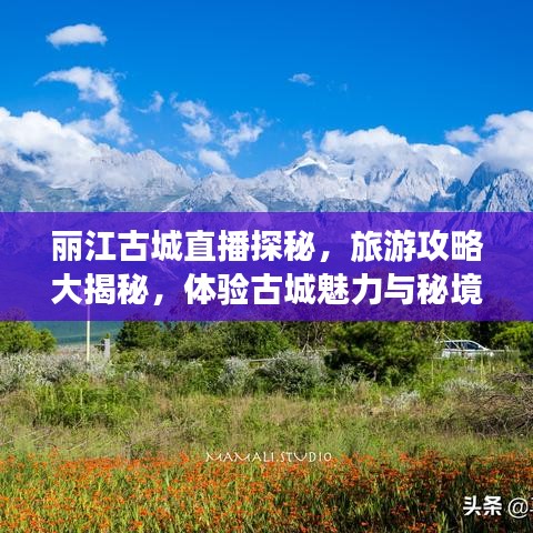 麗江古城直播探秘,旅游攻略大揭秘,體驗(yàn)古城魅力與秘境之旅!