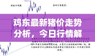 雞東最新豬價(jià)走勢(shì)分析,今日行情解讀
