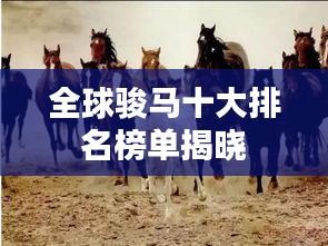 全球駿馬十大排名榜單揭曉