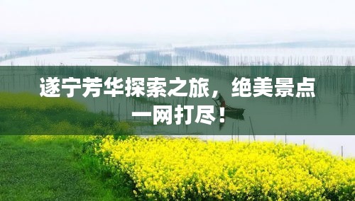 遂寧芳華探索之旅,絕美景點一網打盡!