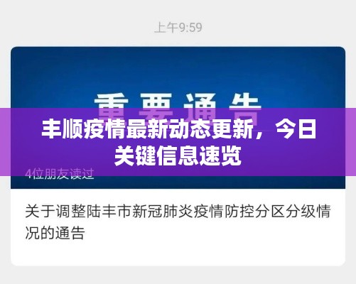 豐順疫情最新動態更新，今日關鍵信息速覽