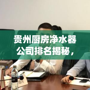 貴州廚房凈水器公司排名揭秘,市場影響力與市場份額的較量