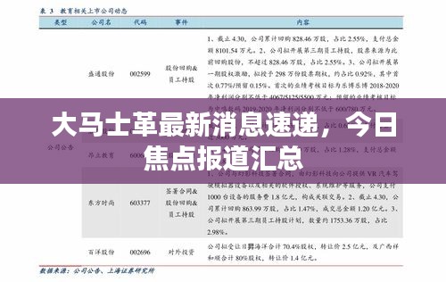 大馬士革最新消息速遞，今日焦點報道匯總