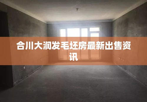 合川大潤(rùn)發(fā)毛坯房最新出售資訊