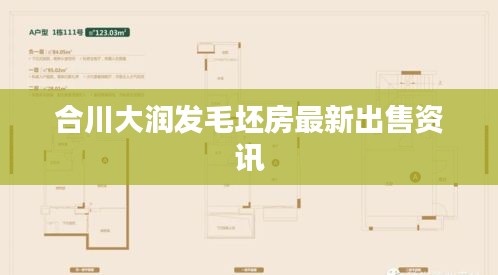 合川大潤發毛坯房最新出售資訊