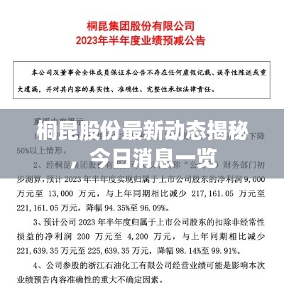 桐昆股份最新動態揭秘，今日消息一覽