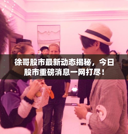 徐哥股市最新動態揭秘，今日股市重磅消息一網打盡！