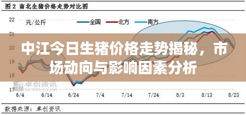 中江今日生豬價格走勢揭秘,市場動向與影響因素分析