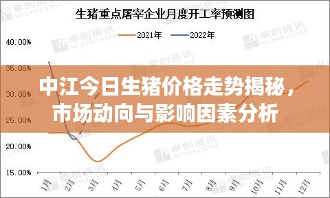 中江今日生豬價(jià)格走勢揭秘，市場動(dòng)向與影響因素分析