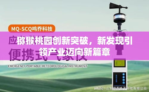 獼猴桃園創新突破,新發現引領產業邁向新篇章