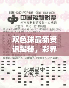 雙色球最新資訊揭秘,彩界掀起新篇章!