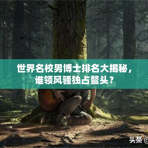世界名校男博士排名大揭秘,誰領風騷獨占鰲頭?
