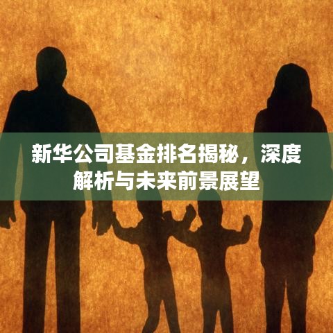 新華公司基金排名揭秘,深度解析與未來前景展望