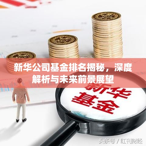 新華公司基金排名揭秘,深度解析與未來前景展望