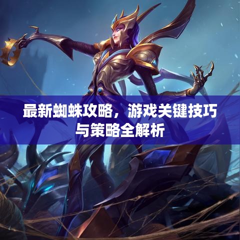 最新蜘蛛攻略,游戲關鍵技巧與策略全解析