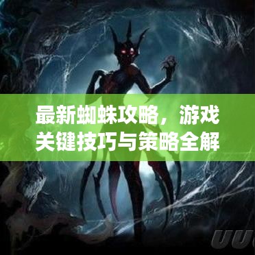 最新蜘蛛攻略,游戲關鍵技巧與策略全解析