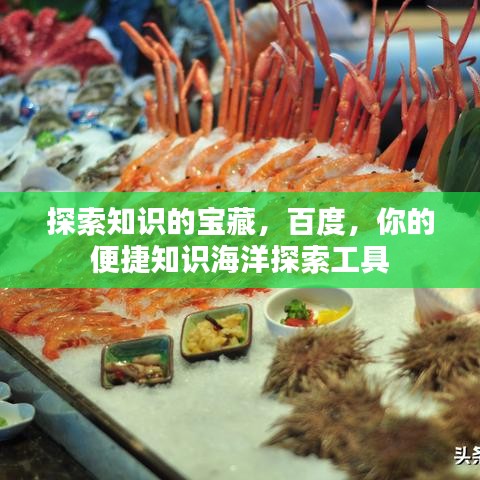 探索知識(shí)的寶藏,百度,你的便捷知識(shí)海洋探索工具