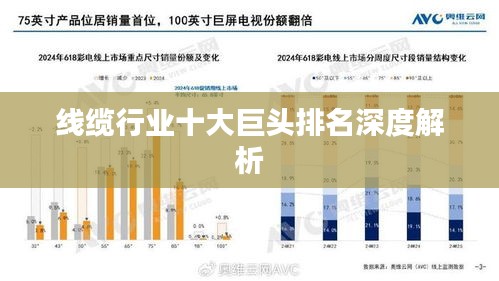 線纜行業十大巨頭排名深度解析