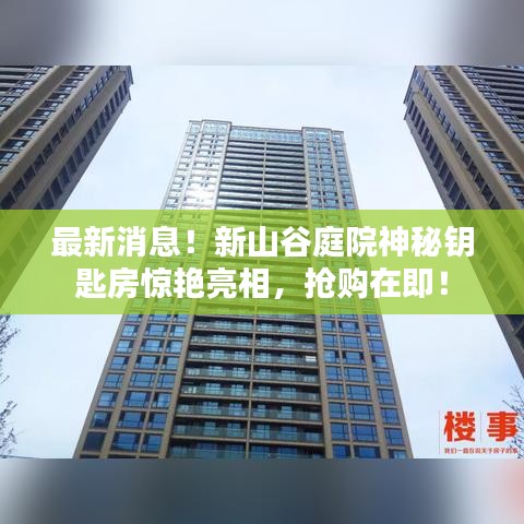 最新消息！新山谷庭院神秘鑰匙房驚艷亮相，搶購在即！