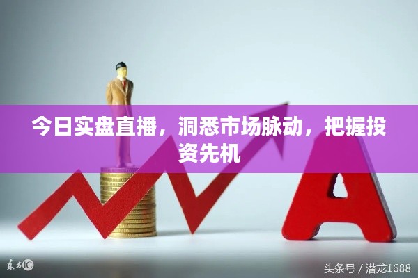 今日實盤直播,洞悉市場脈動,把握投資先機