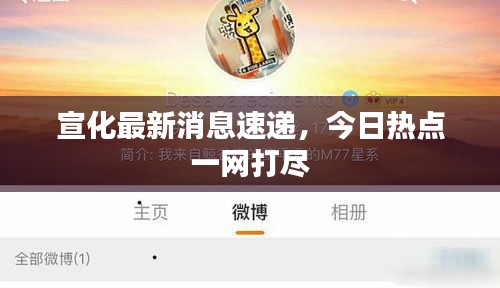 宣化最新消息速遞，今日熱點一網打盡