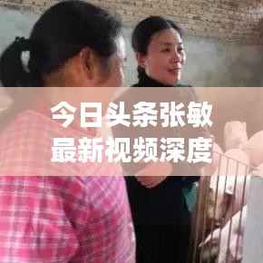 今日頭條張敏最新視頻深度解析,揭秘背后的故事與亮點