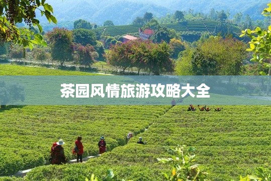 茶園風情旅游攻略大全