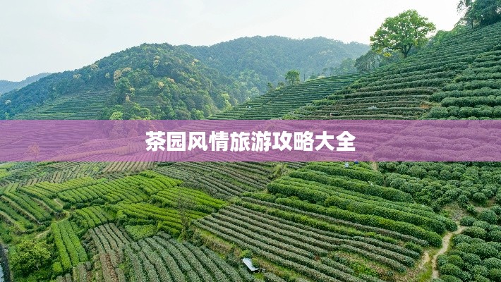 茶園風情旅游攻略大全
