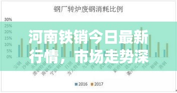 河南鐵銷今日最新行情，市場走勢深度分析與預(yù)測