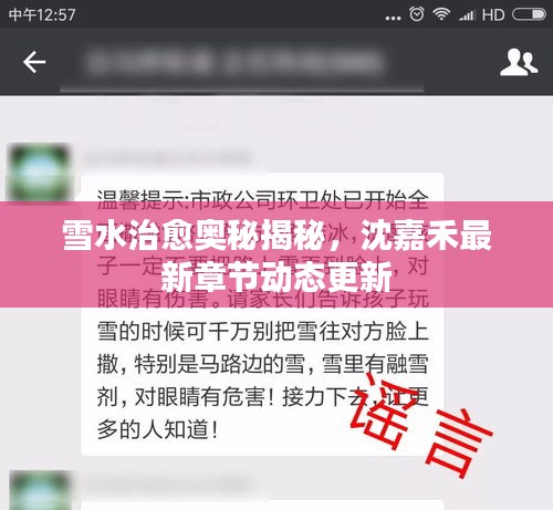 雪水治愈奧秘揭秘，沈嘉禾最新章節動態更新