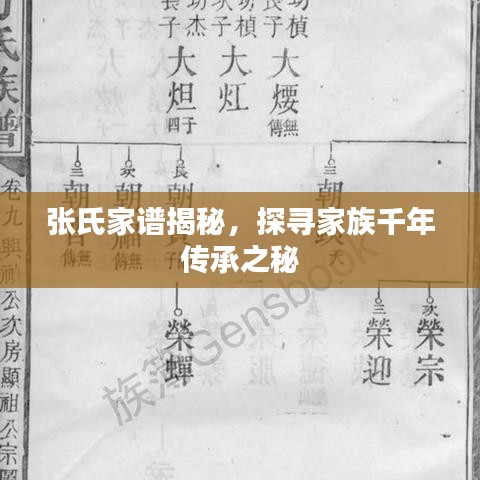 張氏家譜揭秘,探尋家族千年傳承之秘