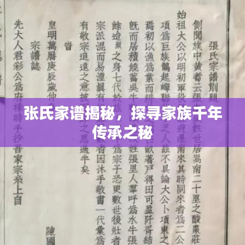 張氏家譜揭秘,探尋家族千年傳承之秘