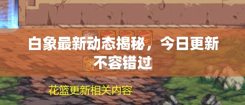 白象最新動(dòng)態(tài)揭秘,今日更新不容錯(cuò)過(guò)