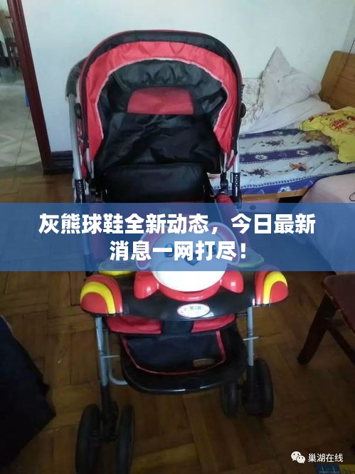 灰熊球鞋全新動態，今日最新消息一網打盡！