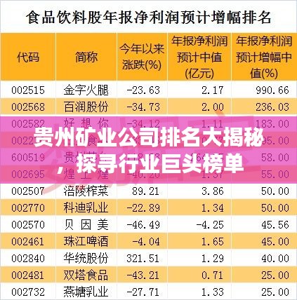 貴州礦業公司排名大揭秘,探尋行業巨頭榜單