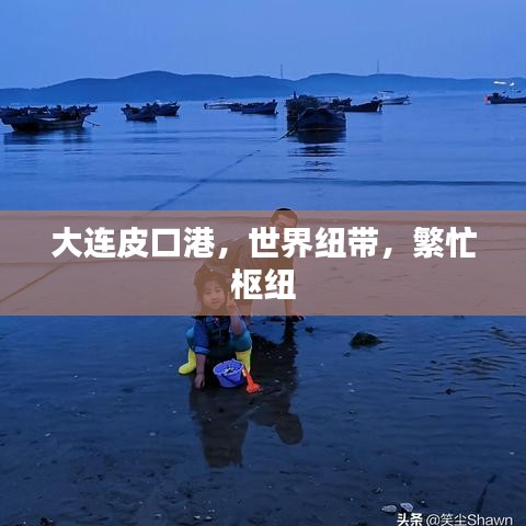 大連皮口港，世界紐帶，繁忙樞紐