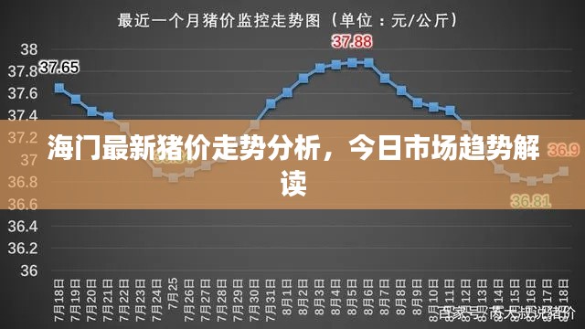 海門最新豬價走勢分析,今日市場趨勢解讀