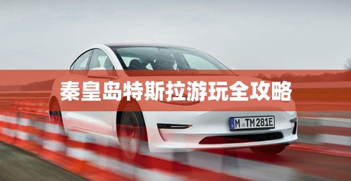 東張西望 第3頁(yè)