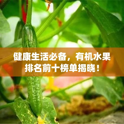 健康生活必備,有機水果排名前十榜單揭曉!