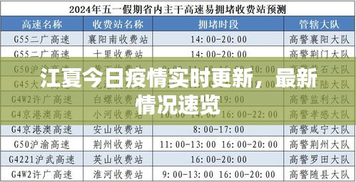 江夏今日疫情實時更新,最新情況速覽