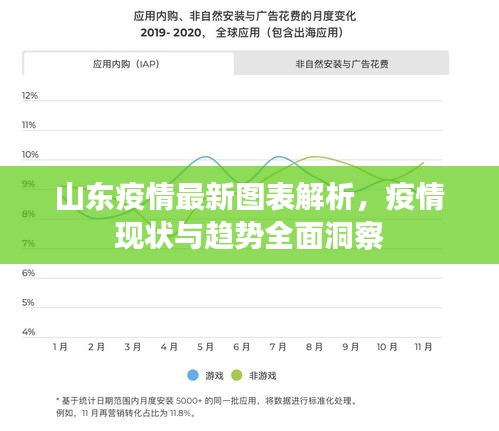 山東疫情最新圖表解析，疫情現狀與趨勢全面洞察
