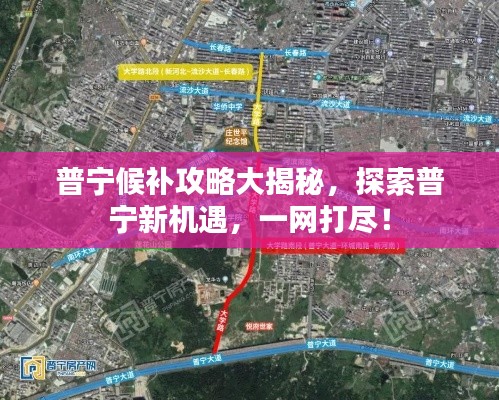 普寧候補攻略大揭秘，探索普寧新機遇，一網打盡！
