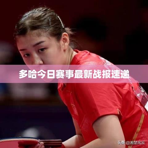 飛來飛去 第3頁