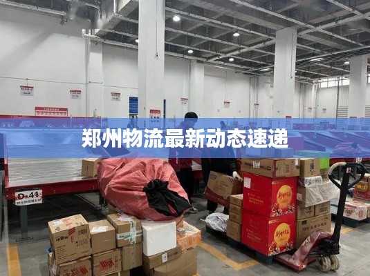 鄭州物流最新動態速遞