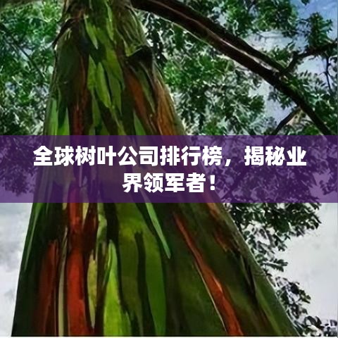 全球樹葉公司排行榜,揭秘業界領軍者!