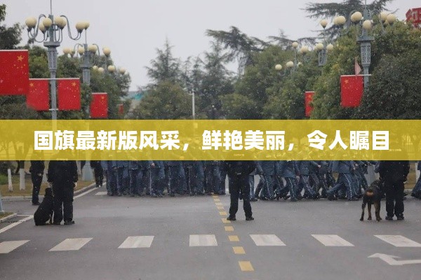 國旗最新版風采,鮮艷美麗,令人矚目